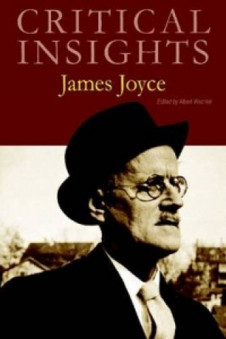 Buch James Joyce Albert Wachtel