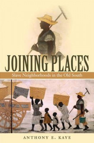 Book Joining Places Anthony E. Kaye