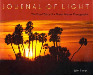 Книга Journal of Light John Moran