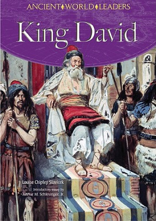 Boek King David Louise Chipley Slavicek