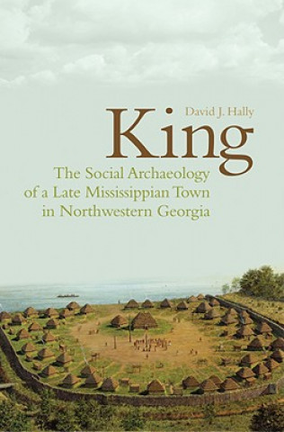 Kniha King David J. Hally