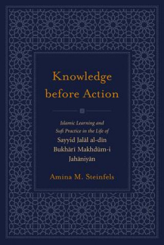 Kniha Knowledge before Action Amina M. Steinfels