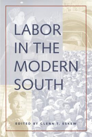 Kniha Labor in the Modern South 