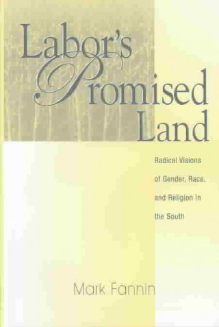 Book Labor'S Promised Land Mark Fannin