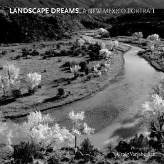 Könyv Landscape Dreams, A New Mexico Portrait Hampton Sides