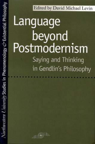 Book Language Beyond Postmodernism 