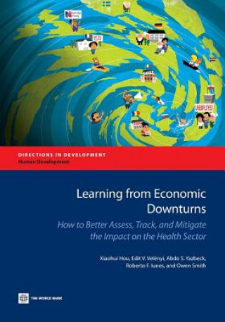 Kniha Learning from economic downturns Roberto Iunes