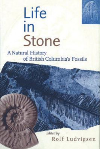 Книга Life in Stone 