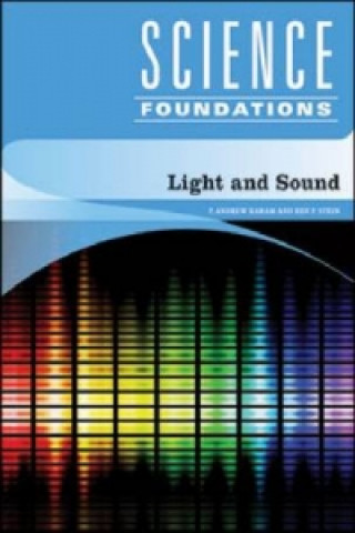 Kniha LIGHT AND SOUND Ben P. Stein