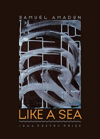 Libro Like a Sea Samuel Amadon