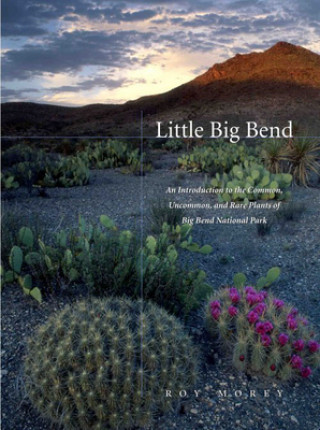 Knjiga Little Big Bend Roy Morey