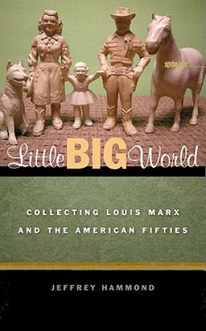 Könyv Little Big World Jeffrey Hammond