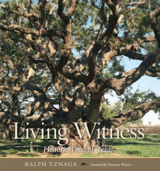 Kniha Living Witness Ralph Yznaga