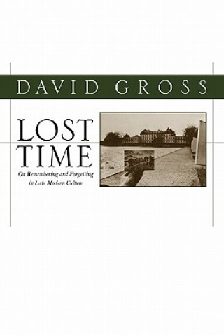 Buch Lost Time David Gross