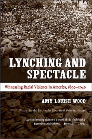 Kniha Lynching and Spectacle Amy Louise Wood