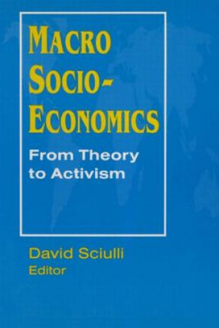 Book Macro Socio-economics: From Theory to Activism David Sciulli