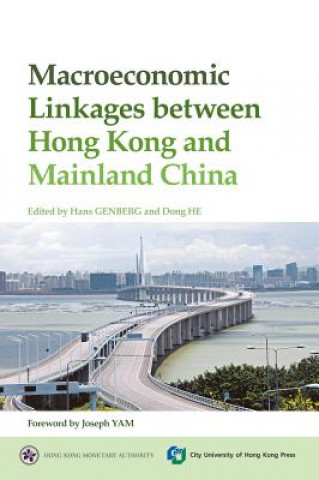 Książka Macroeconomic Linkages Between Hong Kong and Mainland China 