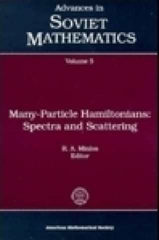 Buch Many-particle Hamiltonians American Mathem American Mathem