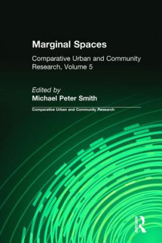 Buch Marginal Spaces Smith