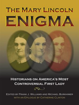 Kniha Mary Lincoln Enigma 
