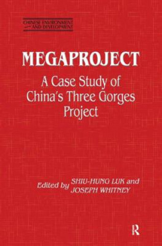 Könyv Megaproject Shiu-hung Luk