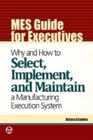Kniha MES Guide for Executives Bianca Scholten