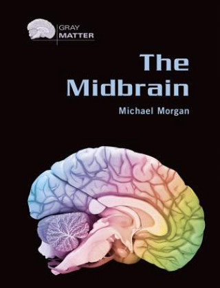 Knjiga Midbrain Michael Morgan
