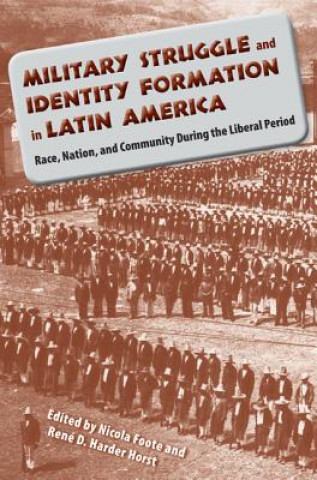 Kniha Military Struggle and Identity Formation in Latin America Nicola Foote