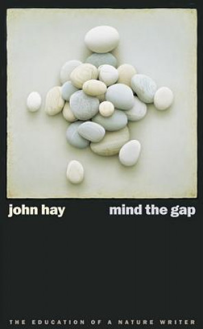 Carte Mind the Gap John Hay