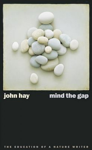 Book Mind the Gap John Hay