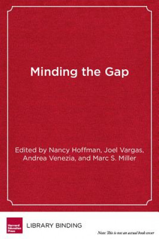 Book Minding the Gap Joel Vargas
