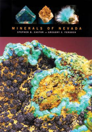 Kniha Minerals of Nevada Gregory C. Ferdock