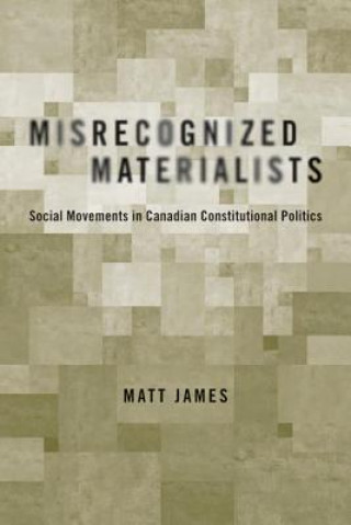 Kniha Misrecognized Materialists Matt James