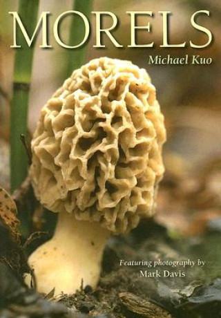 Книга Morels Michael Kuo