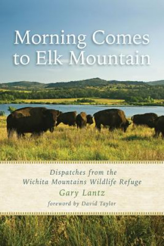 Livre Morning Comes to Elk Mountain Gary Lantz