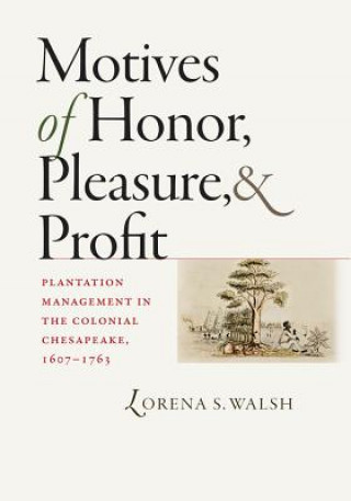 Könyv Motives of Honor, Pleasure, and Profit Lorena S. Walsh