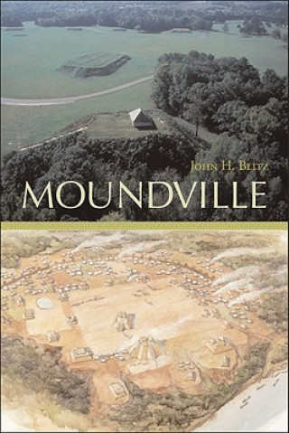 Könyv Moundville John H. Blitz