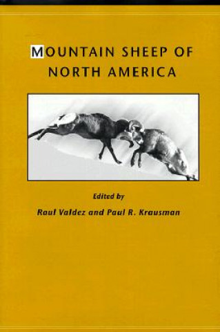 Könyv Mountain Sheep of North America Paul R. Krausman