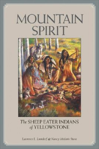 Kniha Mountain Spirit Nancy Medaris Stone