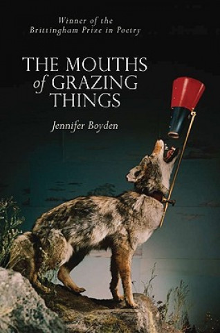 Carte Mouths of Grazing Things Jennifer Boyden