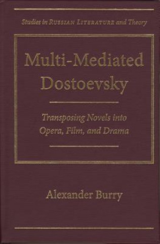 Book Multi-Mediated Dostoevsky Alexander Burry