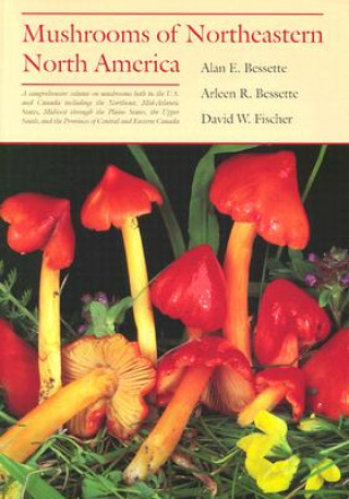 Książka Mushrooms of Northeastern North America David W. Fischer