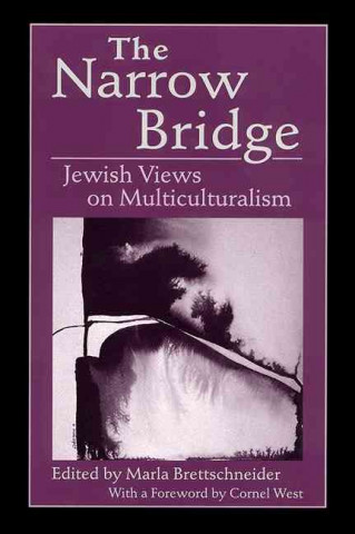 Buch Narrow Bridge Marla Brettschneider