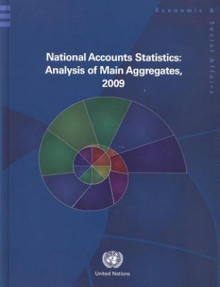 Könyv National Accounts Statistics United Nations: Department of Economic and Social Affairs: Statistics Division