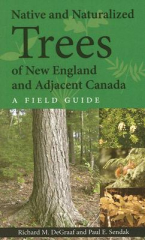 Book Native and Naturalized Trees of New England and - A Field Guide Paul E Sendak