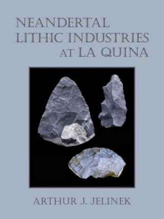 Książka Neandertal Lithic Industries at La Quina Arthur J. Jelinek