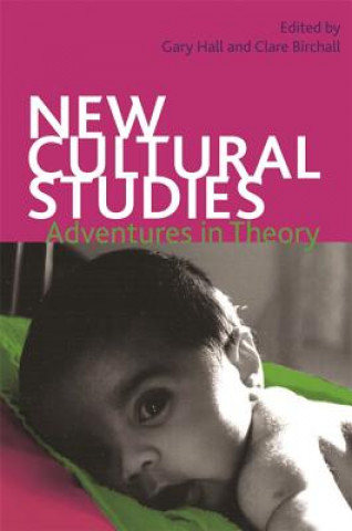 Libro New Cultural Studies Neil Badmington