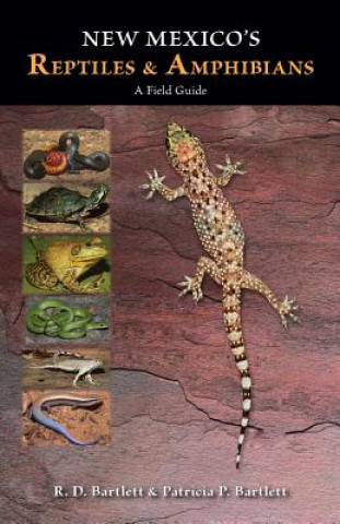 Kniha New Mexico's Reptiles and Amphibians Patricia P. Bartlett