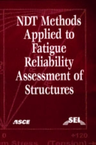 Kniha Non-Destructive Test (NDT) Methods Applied to Fatigue Reliability Assesment of Structures Jamshid Mohammadi