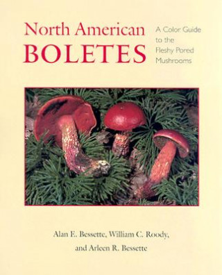 Libro North American Boletes Arleen Rainis Bessette